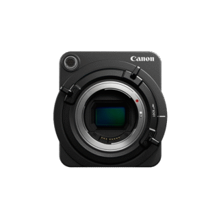 Aenean non pellentesque mauris